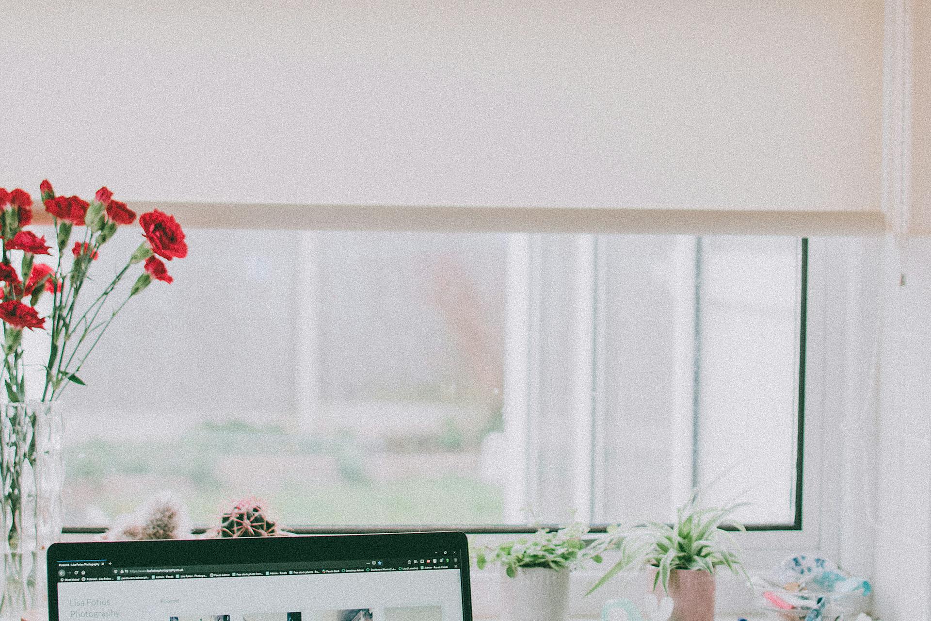 pexels-photo-3716515-2